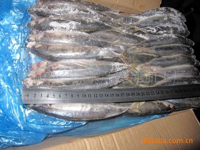批發(fā)冷凍兩片裝四破魚 石獅市宏源水產(chǎn)的加工智慧與智農(nóng)分級(jí)體系